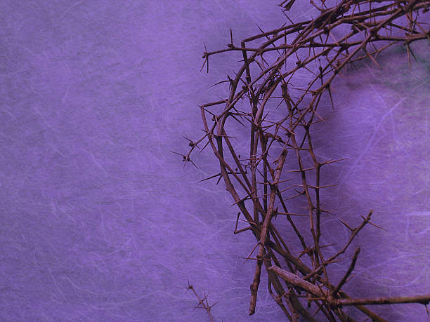 crown of thorns on purple background stock photo