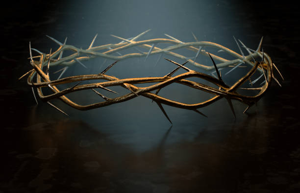 Crown Of Thorns Branches of thorns woven into a gold crown depicting the crucifixion on a dark spotlit background - 3D render crown of thorns stock pictures, royalty-free photos & images