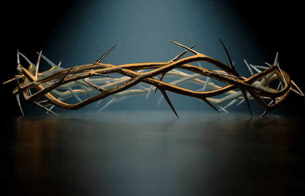 Crown Of Thorns Branches of thorns woven into a gold crown depicting the crucifixion on a dark spotlit background - 3D render holy week stock pictures, royalty-free photos & images