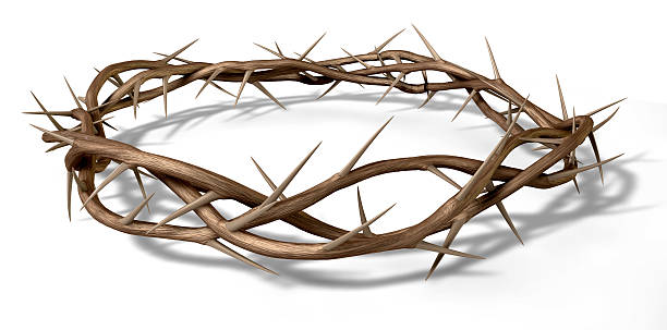 Crown Of Thorns Branches of thorns woven into a crown depicting the crucifixion on an isolated background crown of thorns stock pictures, royalty-free photos & images
