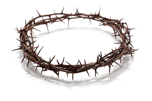 crown of thorns easter themed crown of thorns on white background crown of thorns stock pictures, royalty-free photos & images