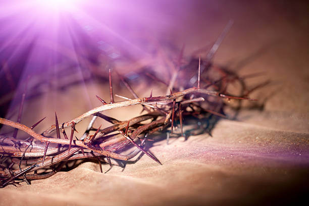 Crown of Thorns Crown of Thorns crown of thorns stock pictures, royalty-free photos & images