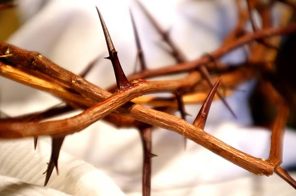 Crown of Thorns  good friday stock pictures, royalty-free photos & images