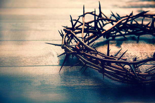 Crown of thorns stock photo