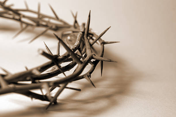 Crown of thorns similar to those forced upon  Christ- sepia  good friday stock pictures, royalty-free photos & images