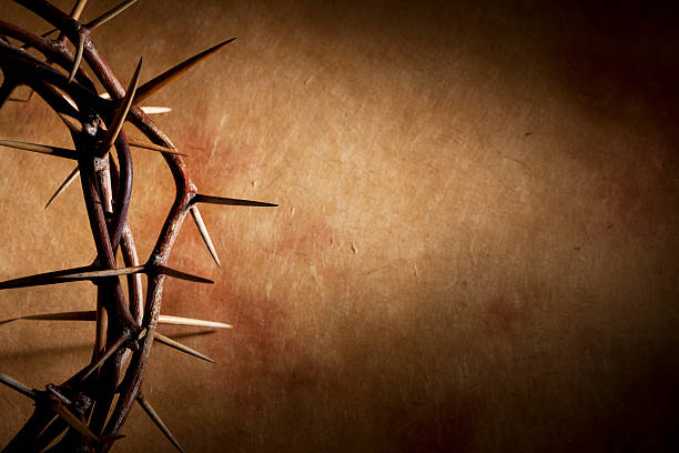 Crown of Thorns with Copyspace A crown of thorns. crown of thorns stock pictures, royalty-free photos & images