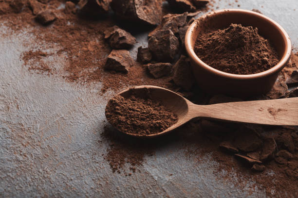 짓 눌린 초콜릿 조각과 회색 배경에 코코아 - cocoa 뉴스 사진 이미지
