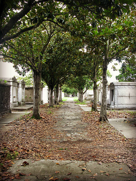 Crypts and Tombs on Tree Lined Cemetery, New Orleans, Louisiana stock photo