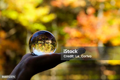 istock Crystal ball, beautiful Canadian autumn forest background 866012374