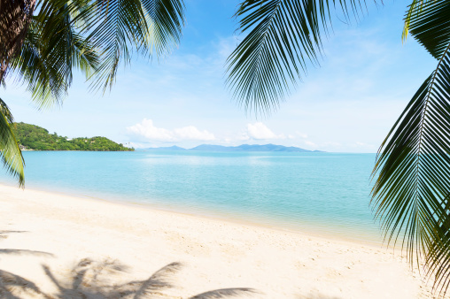 Tropical beach with coconut palm, Bophut beach, Koh Samui Island in Thailand