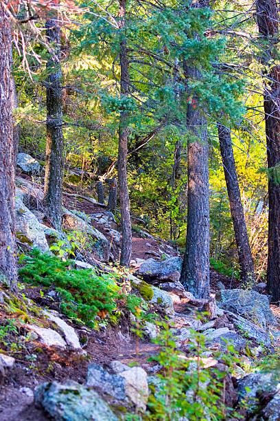 Crystal Creek Autumn Trail stock photo