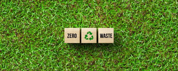 cubes with message ZERO WASTE on green grass - 3d illustration stock photo