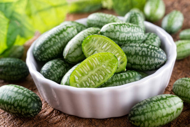 freshly harvested cucamelons: health benefits of cucamelons