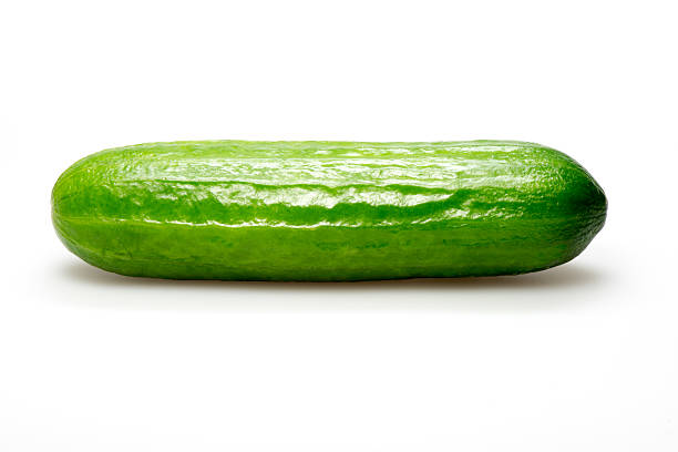 Cucumber stock photo
