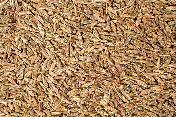 Cumin seeds texture Cumin seeds texture, full frame background. Second most popular spice in the world after black pepper. cumin stock pictures, royalty-free photos & images