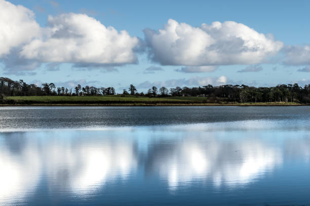 Cumulous clouds, sky, fields and reflection in the sea Cumulous clouds, blue sky, fields, shoreline and reflection of clouds in a calm sea.  Strangford Lough, County Down, Northern Ireland. strangford lough stock pictures, royalty-free photos & images