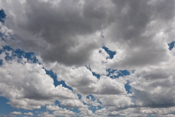 Cumulus Clouds in a Dark Sky Cumulus clouds appear in a dark sky over Kendrick Park in the Coconino National Forest near Flagstaff, Arizona, USA. jeff goulden nature backgrounds stock pictures, royalty-free photos & images