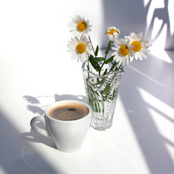 A cup of black coffee with foam, silver spoon, bouquet of white chamomile flowers in a crystal vase with water on a white table in the sunlight and beautiful curly shadows stock photo