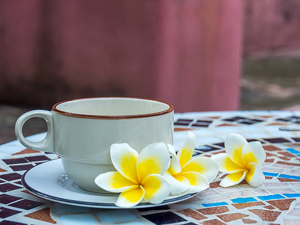 cup of coffee with Plumeria flowers on colourful background stock photo
