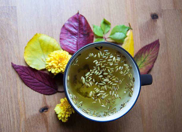 Cup of fennel tea with seeds. Autumnal decoration. Closup. stock photo