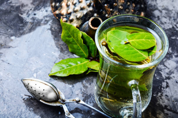 Cup of herbal tea stock photo
