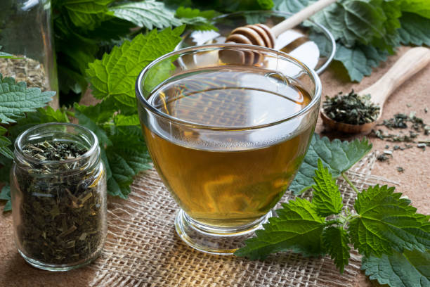 A cup of nettle tea with fresh and dry nettles stock photo