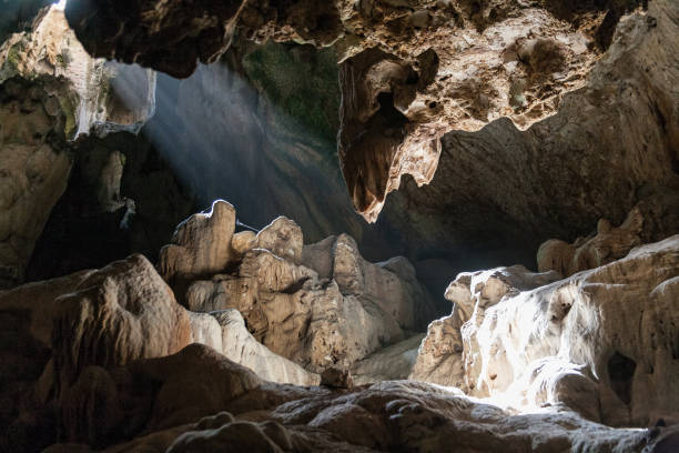 curacao grotten - stalagmiet stockfoto's en -beelden
