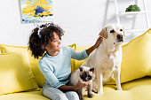 istock Curly girl smiling and stroking retriever, while sitting near siamese cat on yellow sofa, on blurred background 1285675933