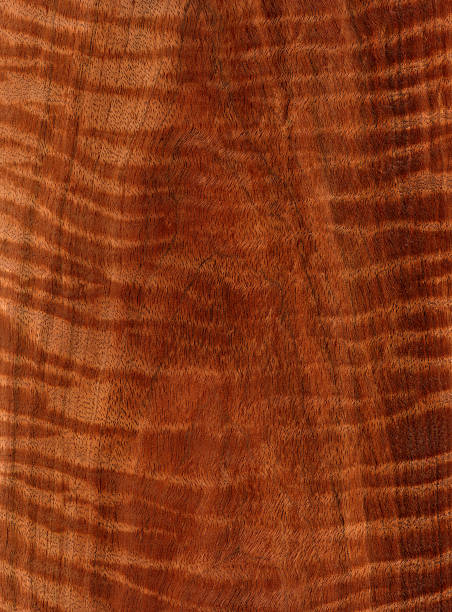 Curly Koa - Wood Texture Series stock photo