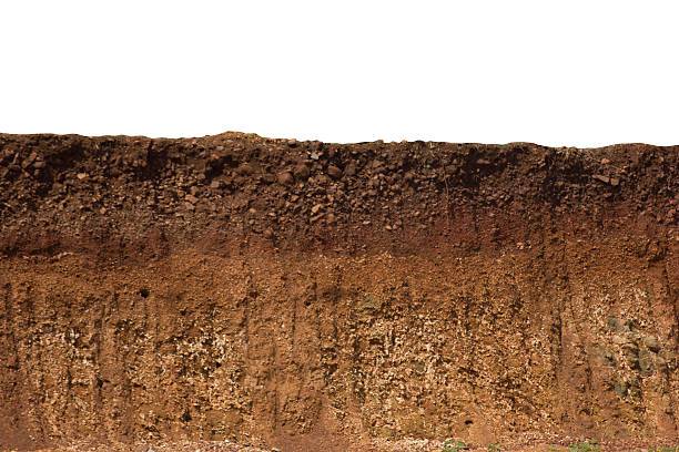 Cut of ground A cut of soil with different layers visible soil stock pictures, royalty-free photos & images