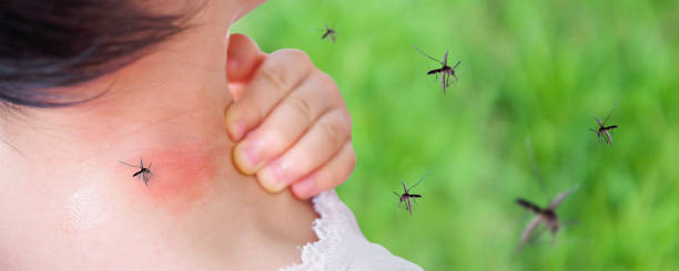 schattige aziatische babymeisje heeft uitslag en allergie op nekvel van muggenbeet en zuigen bloed tijdens het buiten spelen - muggen stockfoto's en -beelden