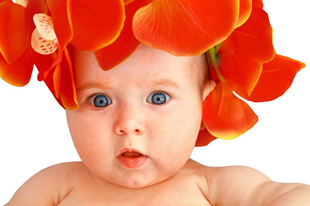 Cute baby girl with flowers stock photo