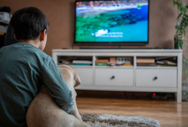 Cute boy watching TV with puppy stock photo