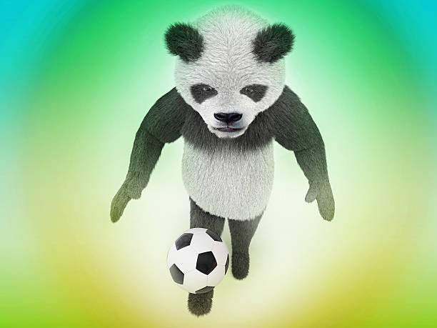 adorable caractère plaiying de sport et de football - panda foot photos et images de collection