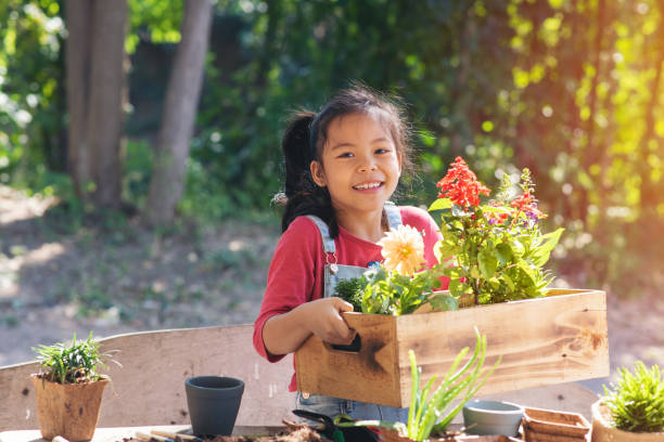 Cute child asian girl plays little gardener and holding flower plant in crate at spring garden stock photo