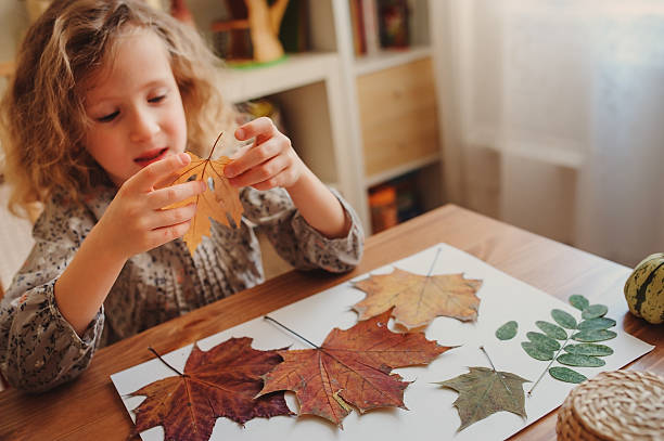 cute child girl making herbarium at home, autumn seasonal crafts stock photo