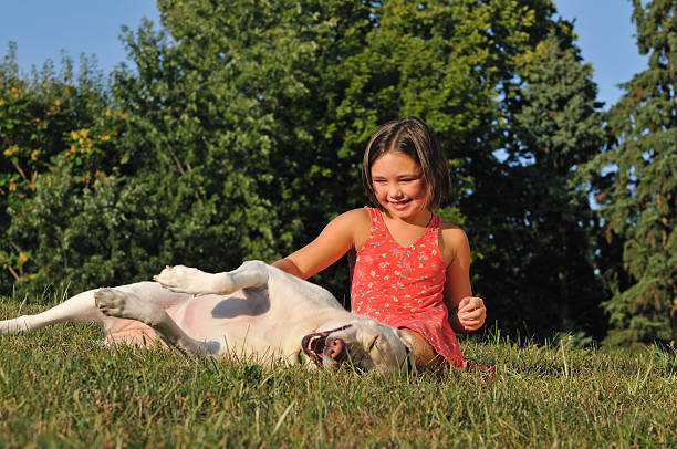 cute girl playing with happy dog stock photo
