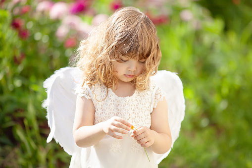 かわいい天使女の子カモミール天使のような文字を保持 1人のストックフォトや画像を多数ご用意 Istock