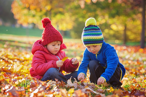 Excited little boys, playing with leaves in the park, autumn time