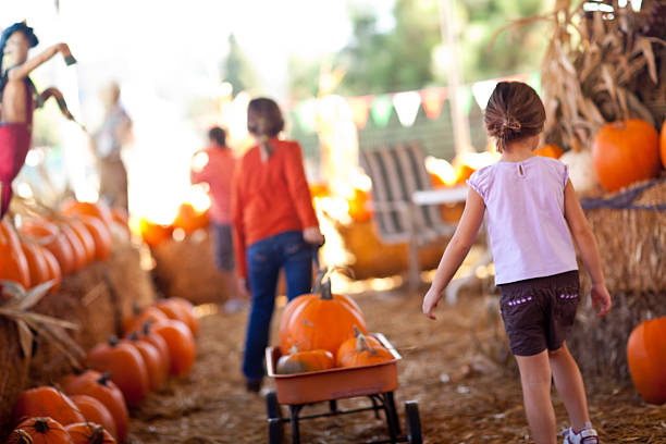cute little girls pulling their pumpkins in a wagon - eğlence faaliyeti stok fotoğraflar ve resimler