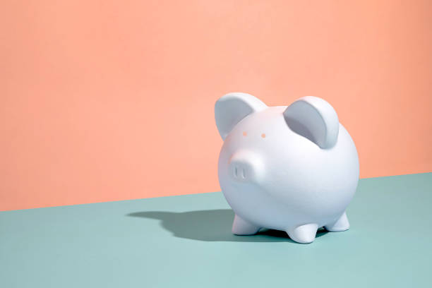 Cute little pure white piggy bank on a duotone background stock photo