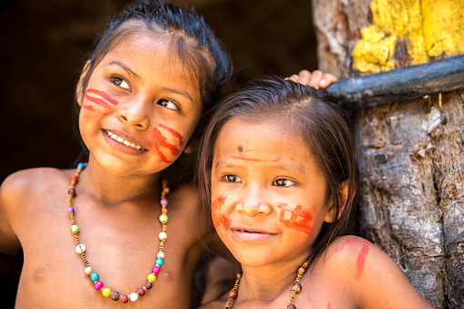 Cute Native Brazilian Girls In Amazon Brazil Stock Photo Download Image Now Istock