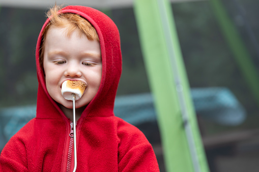 Cute Redhead Child Roasting and eating Marshmallow over Campfire in Camping in Summer.