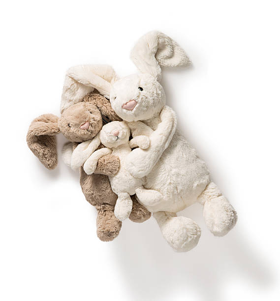 Cute Stuffed Bunny Rabbit Toys Cute Stuffed Bunny Rabbit Toys on white background fluffy stock pictures, royalty-free photos & images