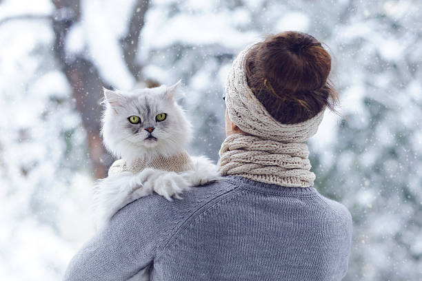 cutest best friends ever: beautiful woman and her cat - cat snow bildbanksfoton och bilder