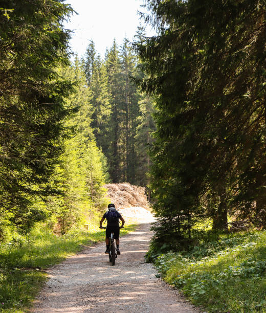 Cyclist in a forest of the Dolomites (Trentino, Italy) stock photo