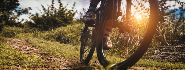 Cyclist speeding downhill on MTB track in forest with mountain bike stock photo