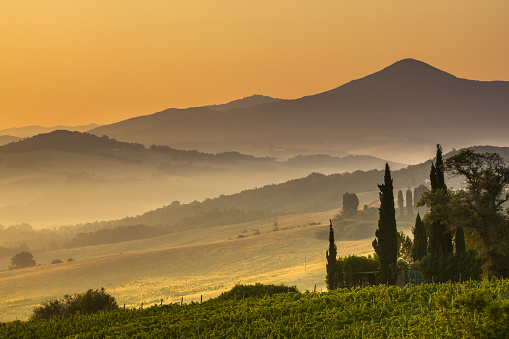 Tuscany Village Landscape near Pisa on a Foggy Morning, Italy