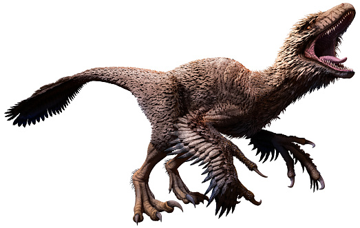 did dinosaurs have feathers