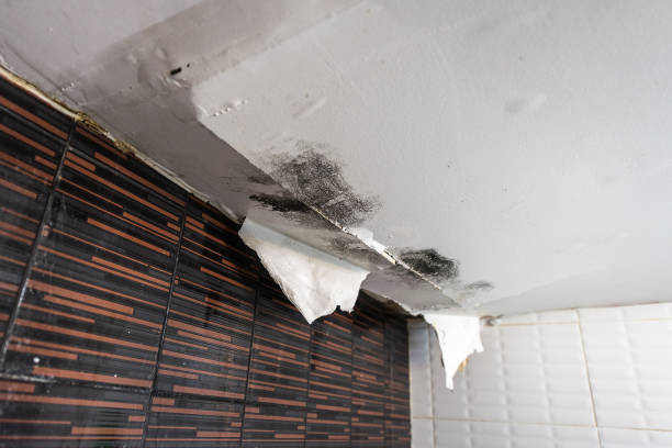 water damage insurance claim statistics